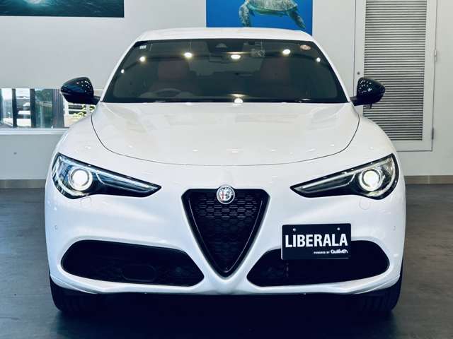 Alfa Romeo Stelvio 7