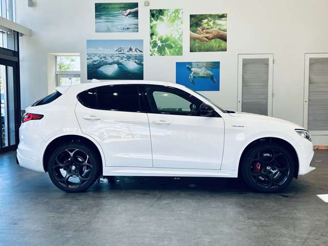 Alfa Romeo Stelvio 8