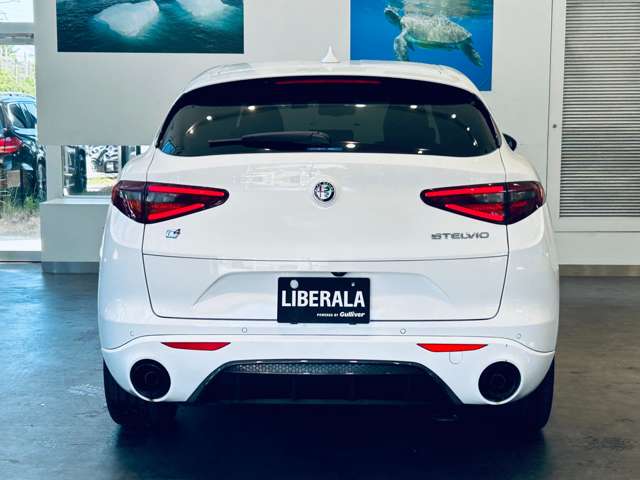 Alfa Romeo Stelvio 10