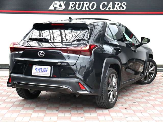 Lexus UX 6