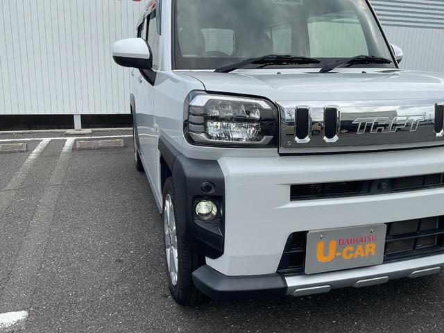 Daihatsu Taft 8
