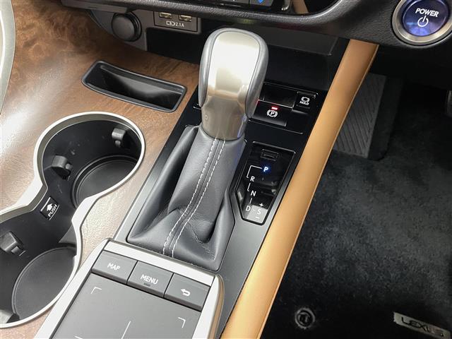 Lexus RX 11