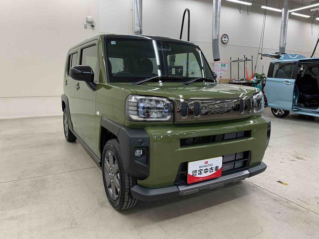 Daihatsu Taft 9