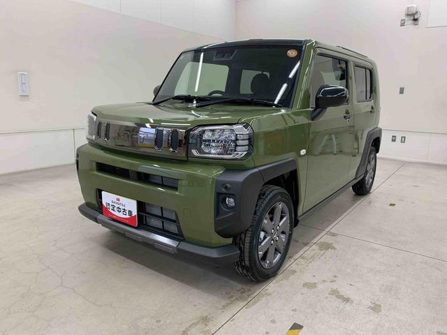 Daihatsu Taft 10