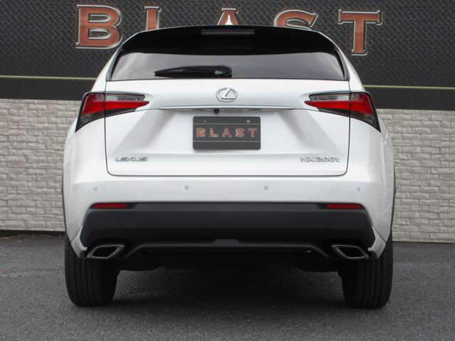 Lexus NX 11