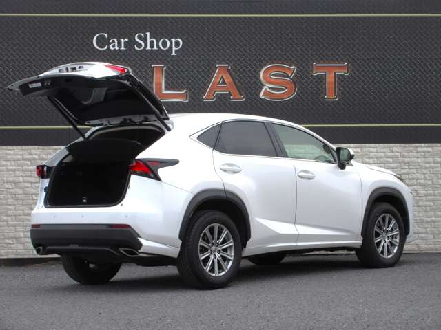 Lexus NX 12