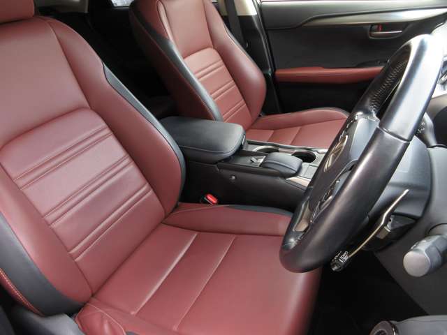 Lexus NX 3