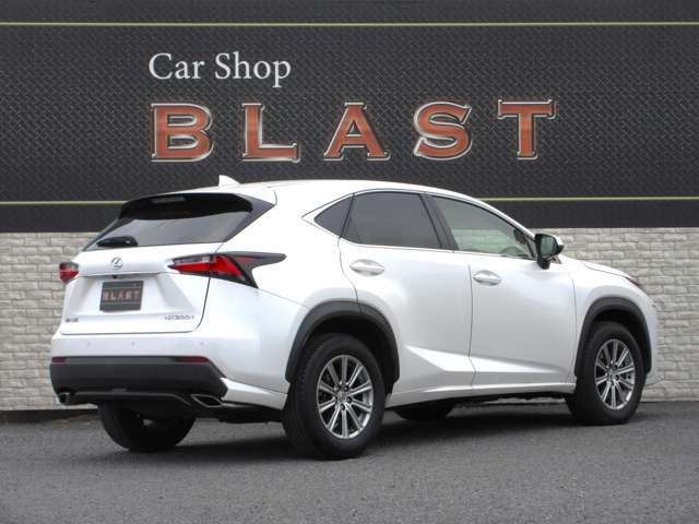 Lexus NX 8