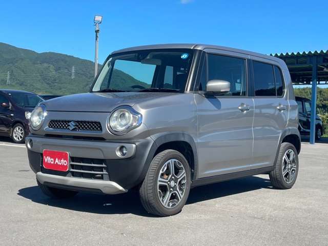 Suzuki Hustler 6