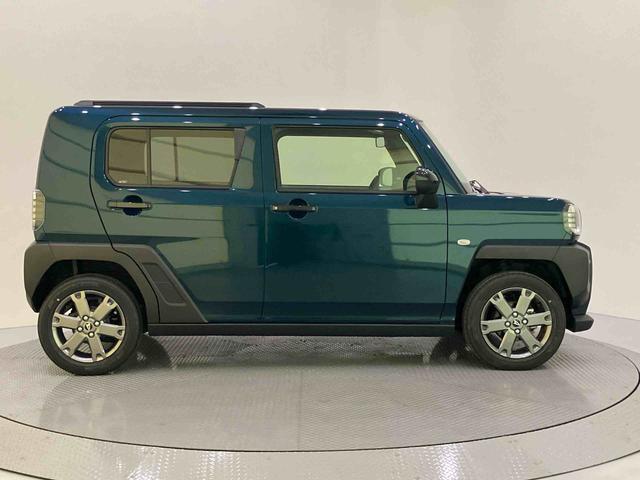 Daihatsu Taft 10