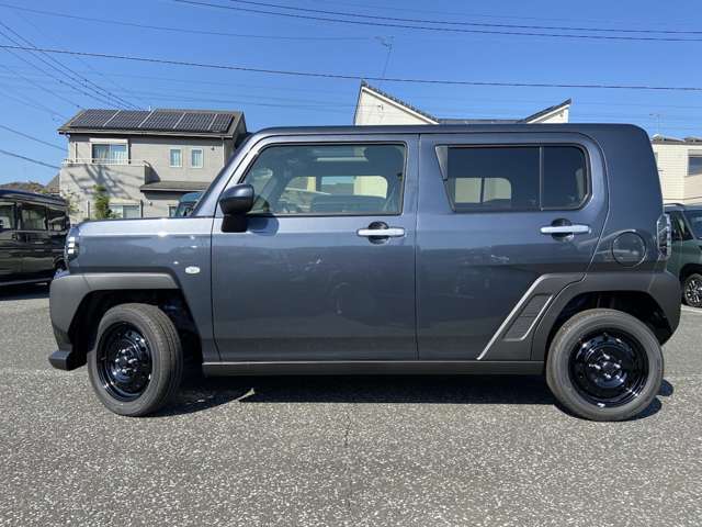 Daihatsu Taft 6