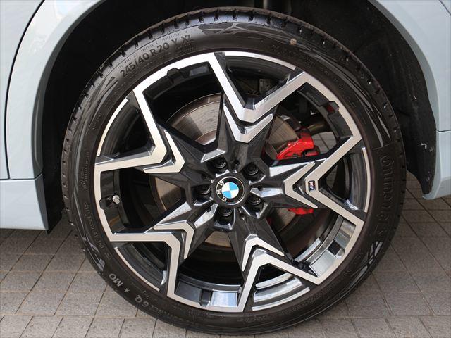 BMW X2 10
