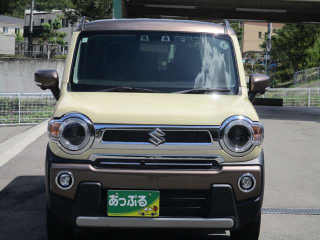 Suzuki Hustler 4