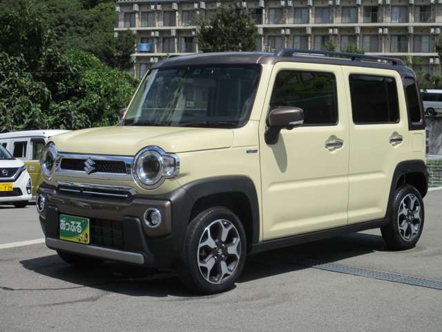 Suzuki Hustler 9