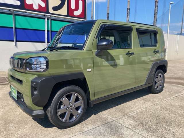 Daihatsu Taft 8