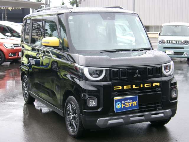 Mitsubishi Delica Mini 5