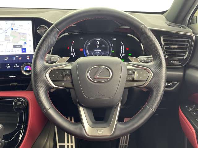 Lexus NX 13