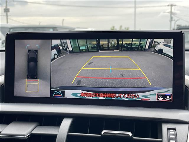 Lexus NX 6