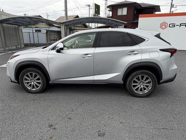 Lexus NX 11