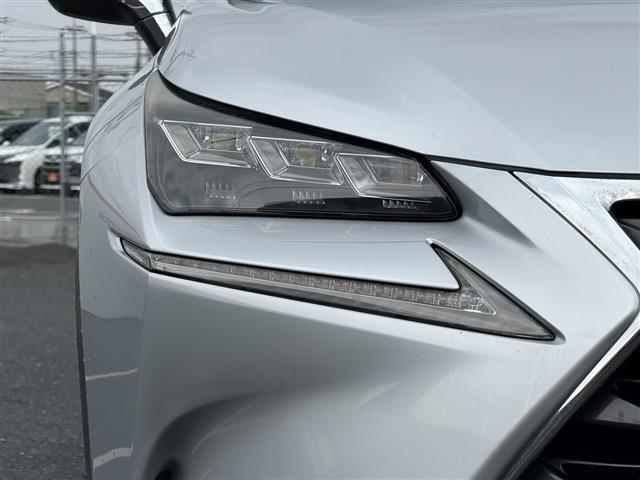 Lexus NX 12