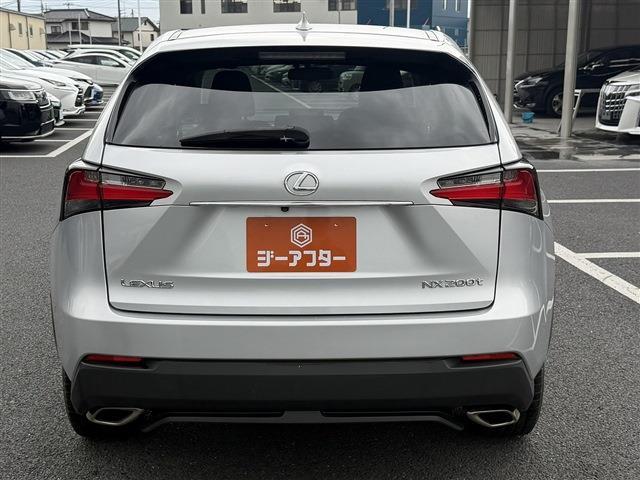 Lexus NX 10