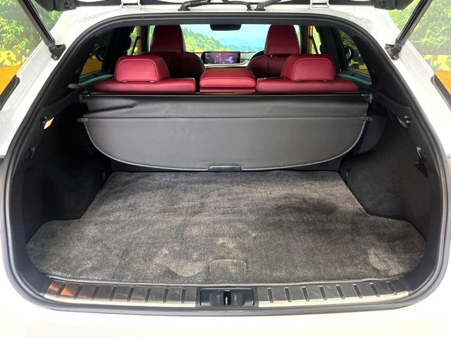 Lexus RX 10
