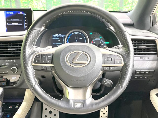Lexus RX 11