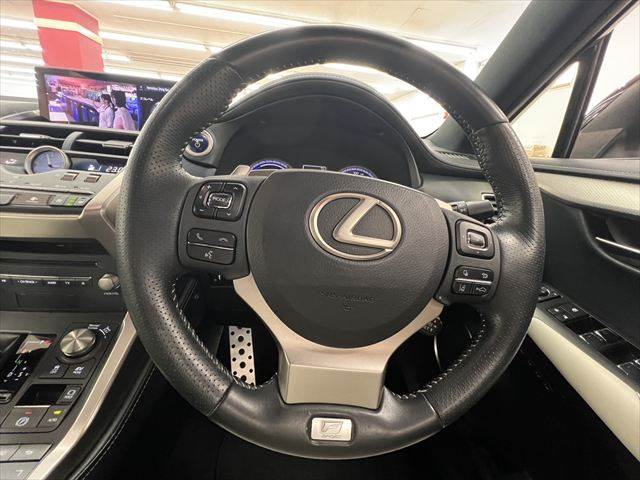 Lexus NX 11