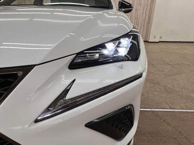 Lexus NX 12