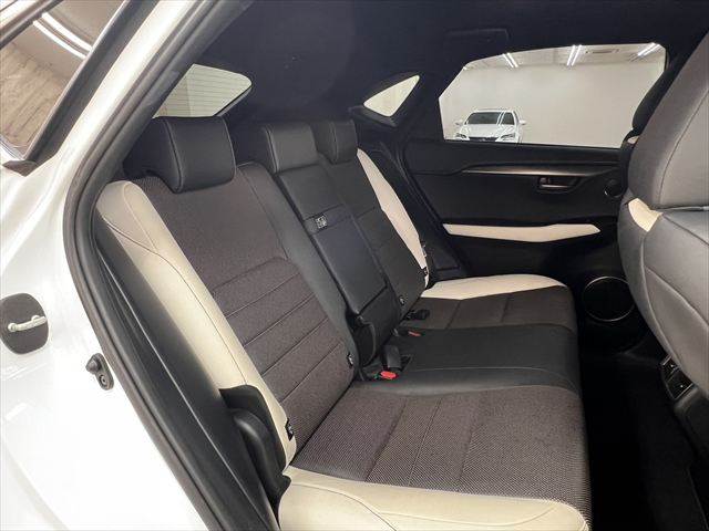 Lexus NX 9