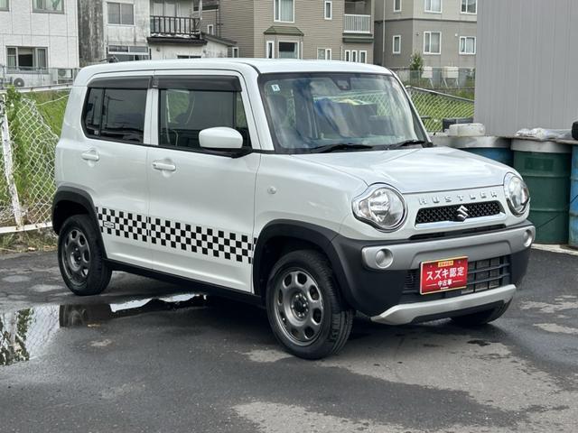 Suzuki Hustler 6