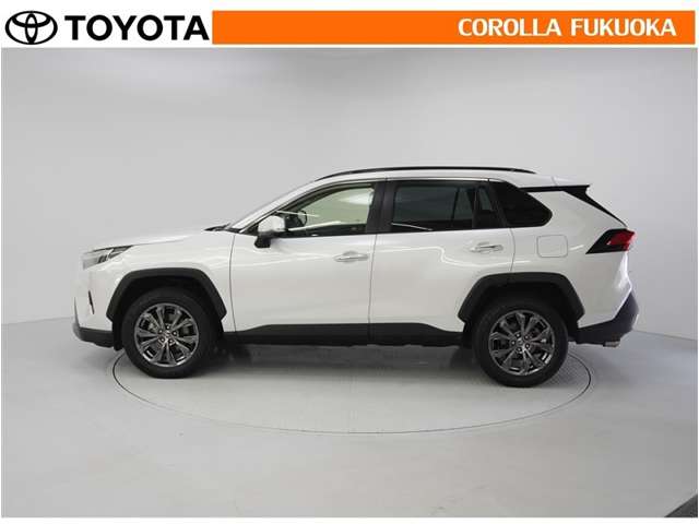Toyota RAV4 6