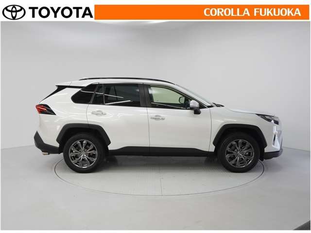 Toyota RAV4 9
