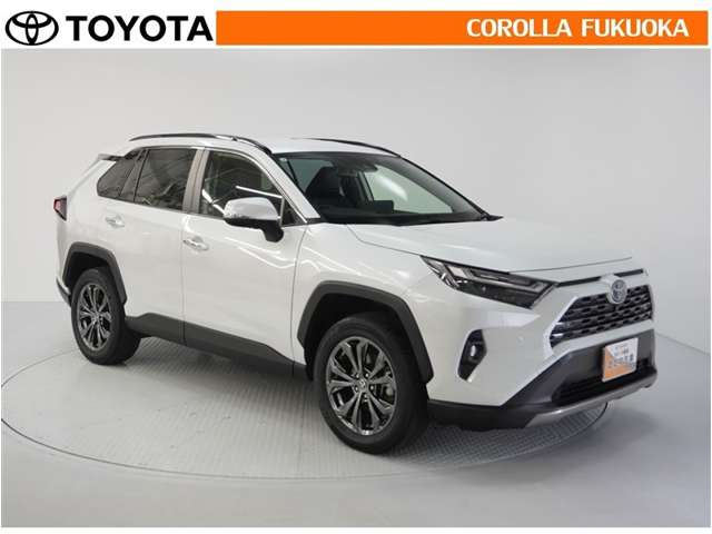 Toyota RAV4 10