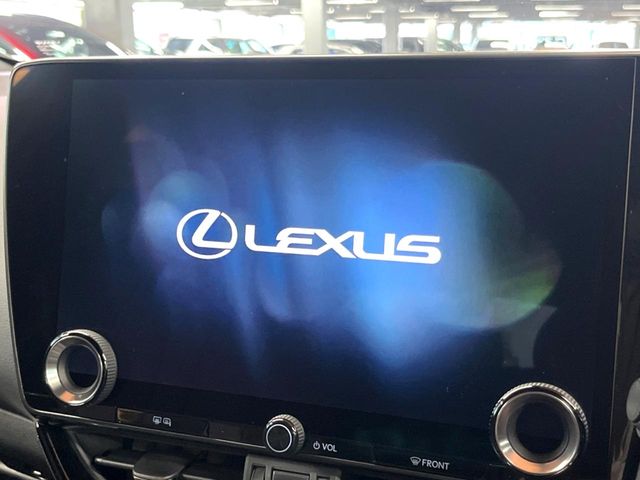 Lexus NX 3