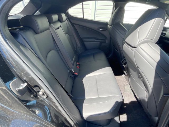 Lexus UX 11