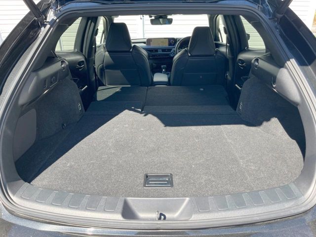 Lexus UX 12