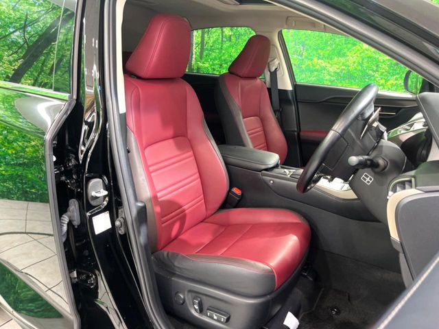 Lexus NX 11