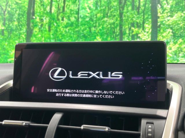 Lexus NX 4