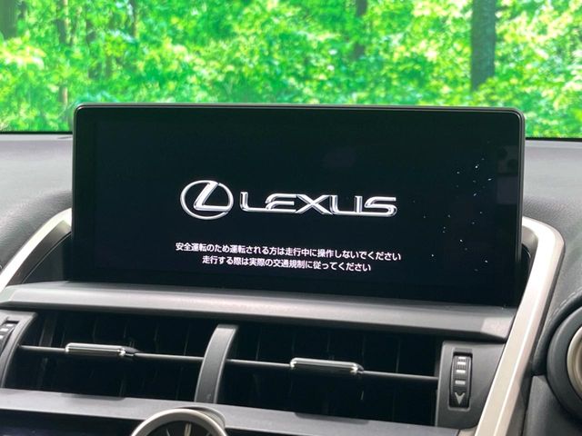 Lexus NX 3
