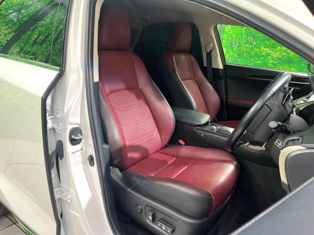 Lexus NX 10
