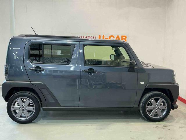 Daihatsu Taft 12