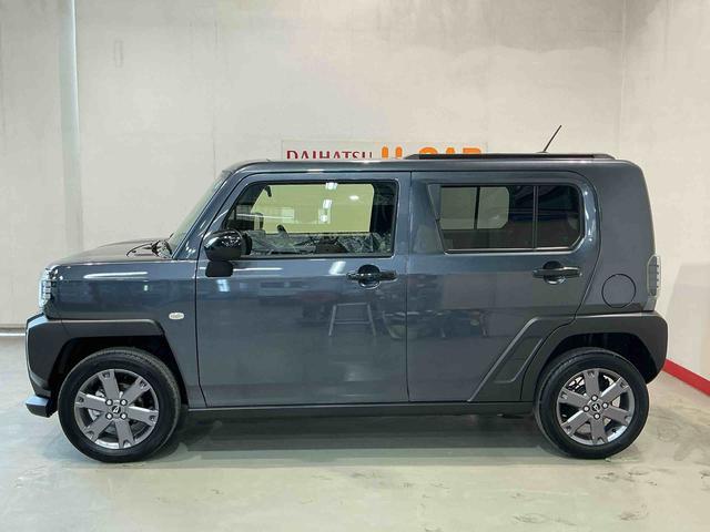 Daihatsu Taft 8