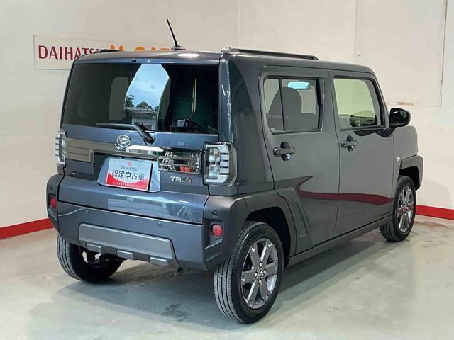 Daihatsu Taft 10