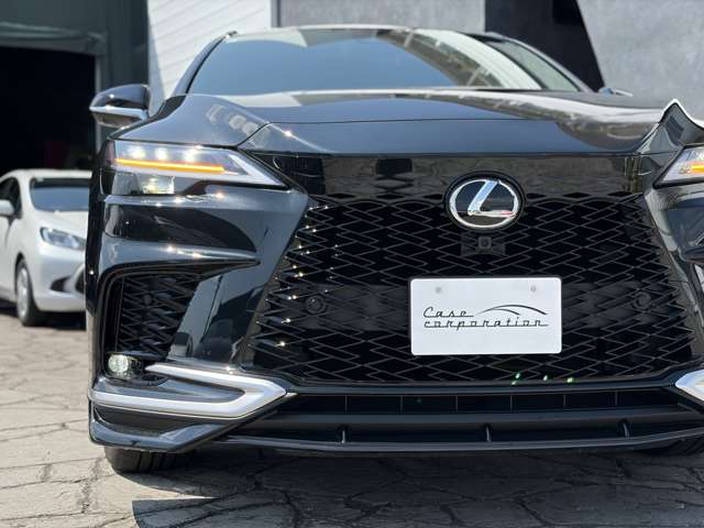 Lexus RX 11