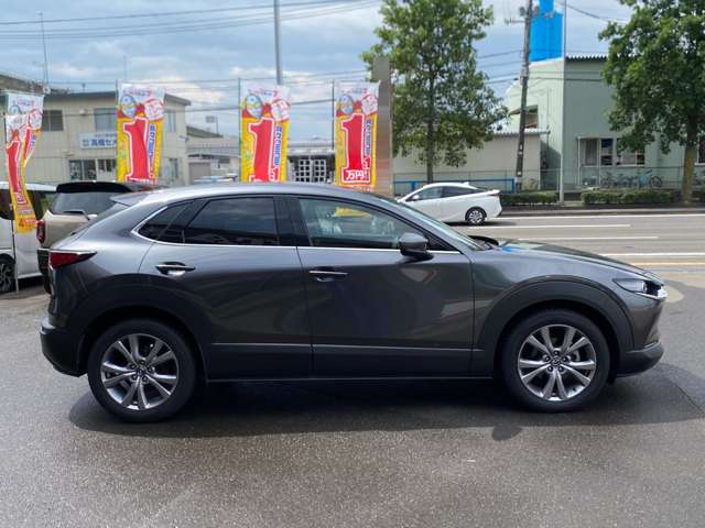 Mazda CX-30 11
