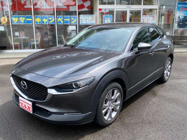 Mazda CX-30 6