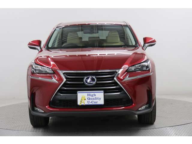 Lexus NX 12
