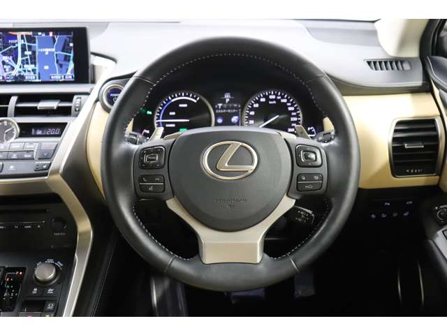 Lexus NX 6