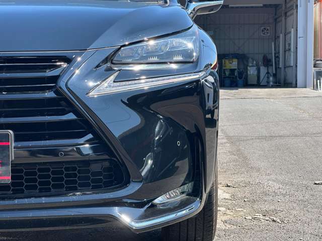 Lexus NX 11